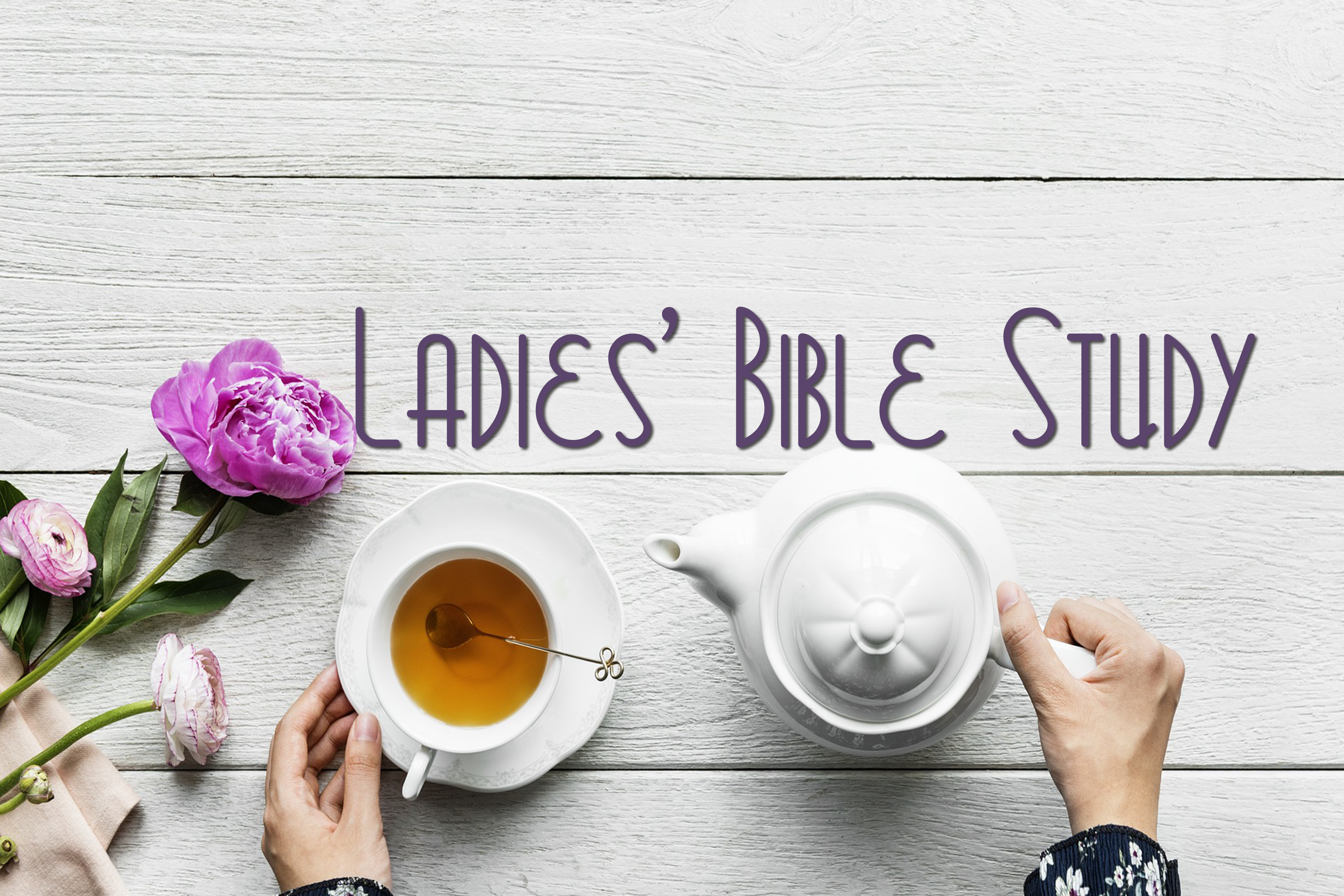 Ladies Bible Study2